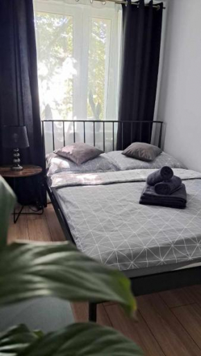 APARTAMENT FLOWERS - KIELCE